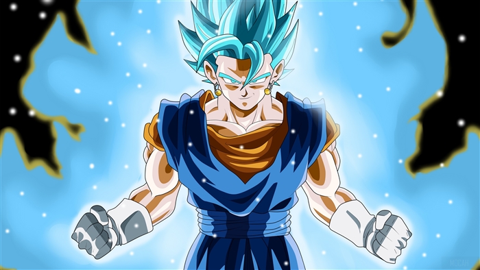 Vegito in Super Saiyan Blue Form Dragon Ball Super 4K