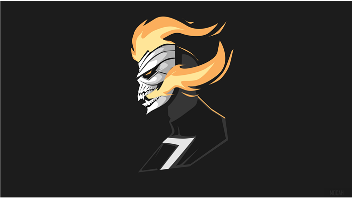 Ghost Rider Skull with Fire 4K