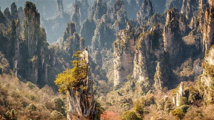 Zhangjiajie National Forest Park, China 4K