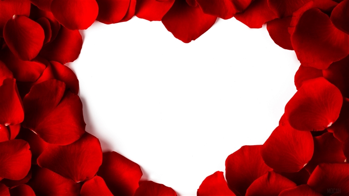 Heart-Shaped Red Rose Petals 4K