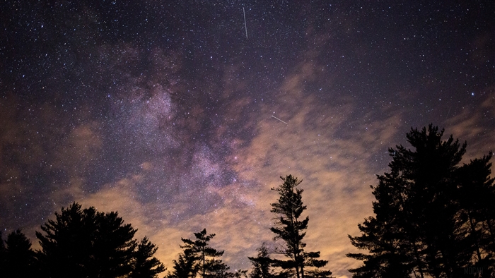 Starry Night Sky Over Trees 4K