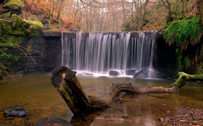 Waterfall in a forest with fallen log