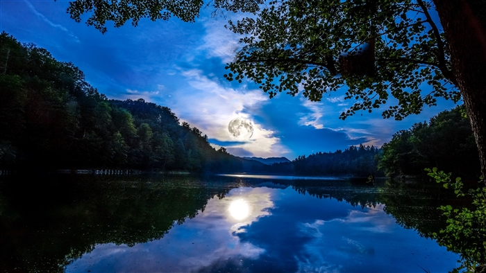 Moonlit lake reflection with trees and sky 4K