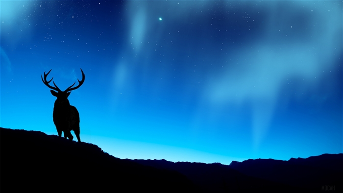 Silhouette of a stag against the aurora borealis