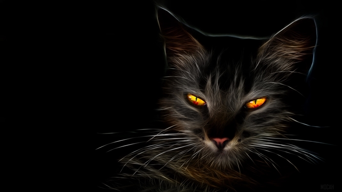 Artistic Cat with Yellow Eyes 4K