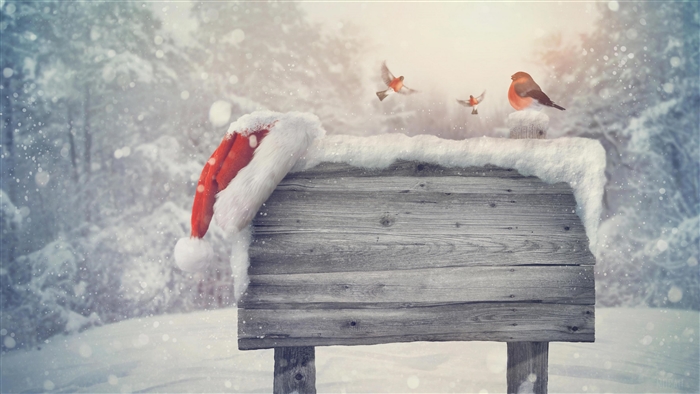 Winter Bullfinch on Snowy Sign with Santa Hat
