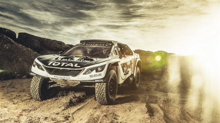 Peugeot Total Rally Car in Desert 4K