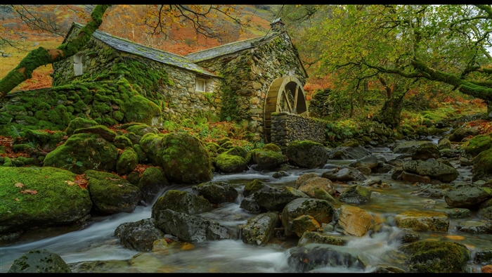 Stone watermill by a mossy stream in a forest