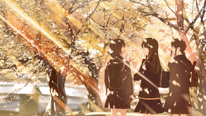 Three schoolgirls walking under cherry blossom trees
