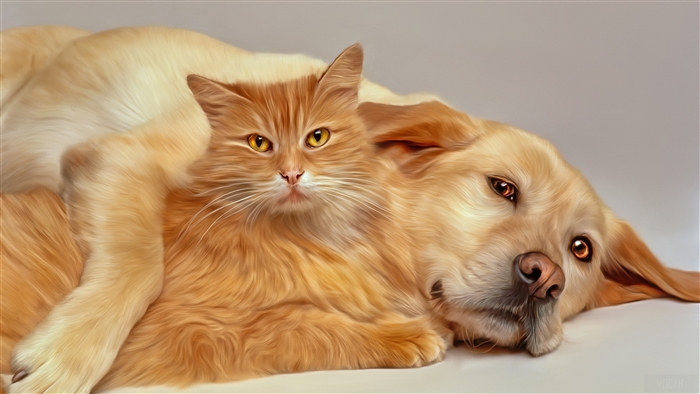 Orange Cat Hugging Golden Retriever, Oil Painting 4K