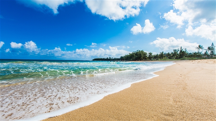 Beach with Ocean Waves and Palm Trees in Kauai 4K