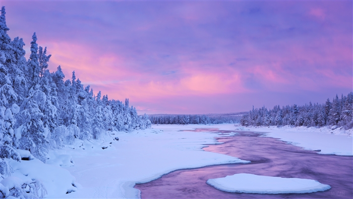 Winter Sunset Over Snowy Forest and River 4K