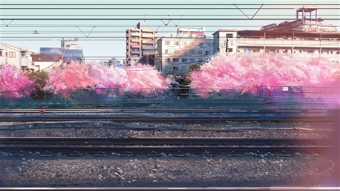 Anime train tracks with cherry blossoms and buildings