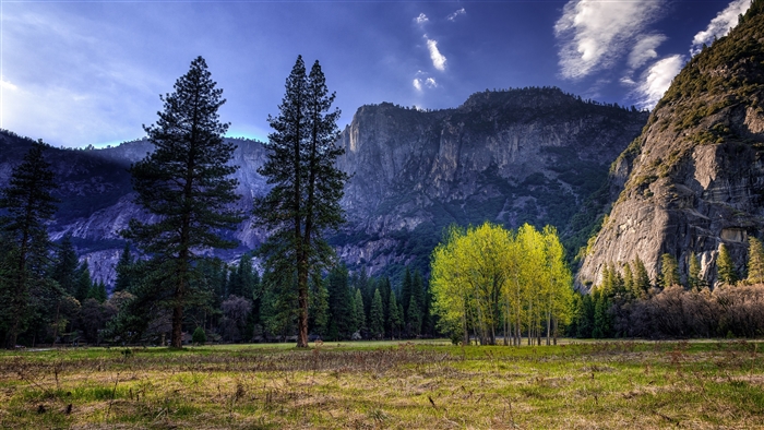 Yosemite National Park 4K