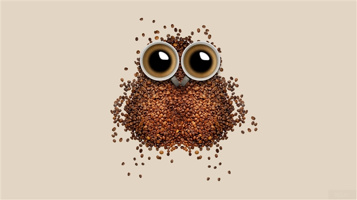 Owl made of coffee beans with coffee cup eyes
