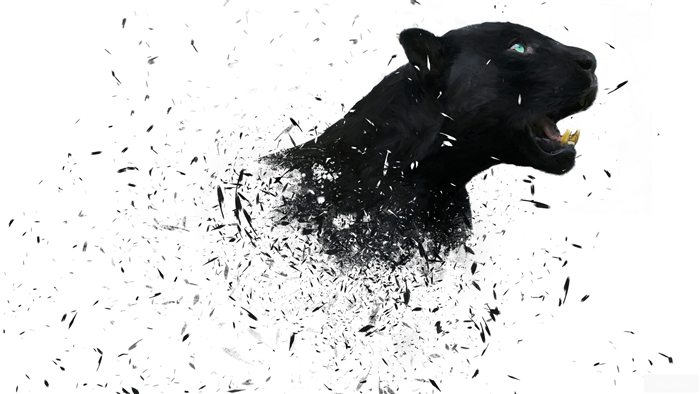 Artistic Black Jaguar in Dynamic Fragmentation 4K