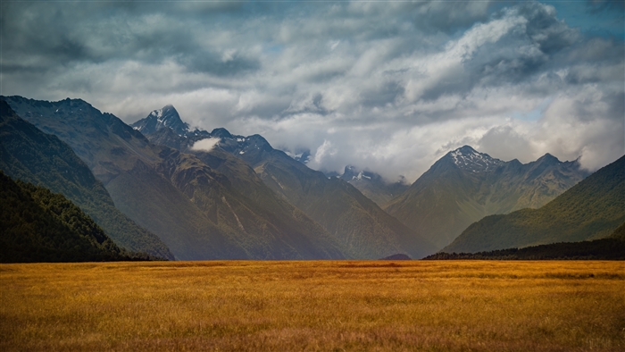Mountains and golden field in New Zealand 4K