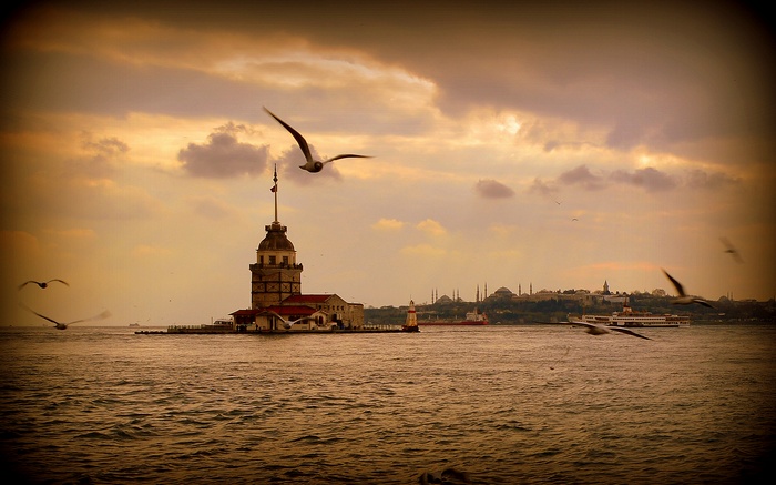 Maiden's Tower and Istanbul skyline at sunset with seagulls