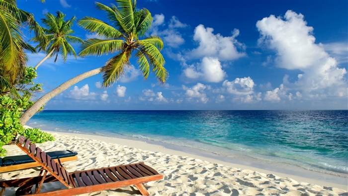 Tropical Beach with Palm Trees and Lounge Chairs 4K