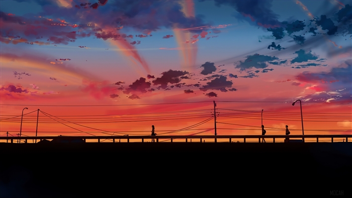 5 Centimeters per Second