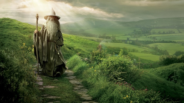 Gandalf the Grey from The Lord of the Rings