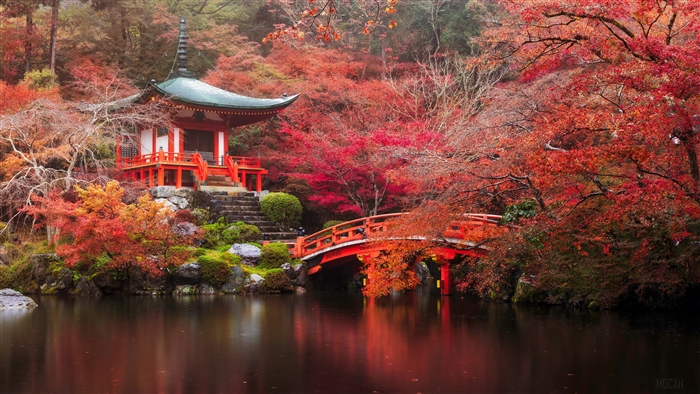 Kyoto Autumn Scene with Pagoda and Bridge 4K