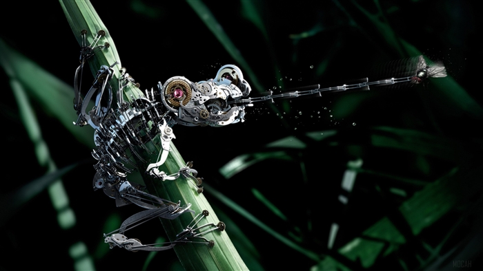Mechanical frog on a plant stalk