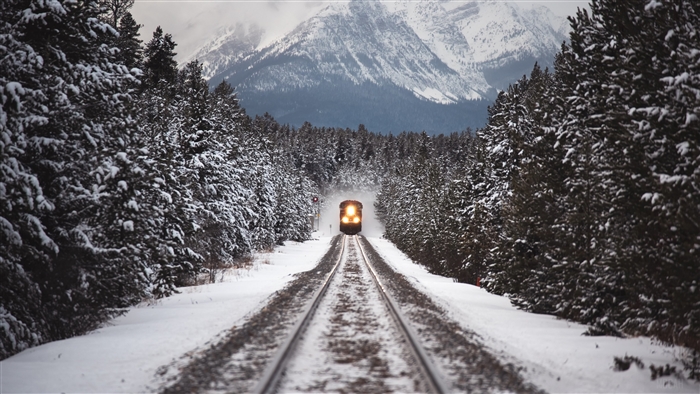 Train approaching through a snowy mountain forest