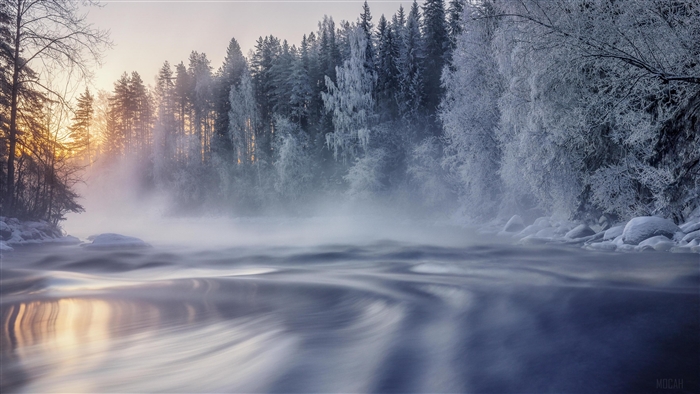 Winter forest with mist over river 4K