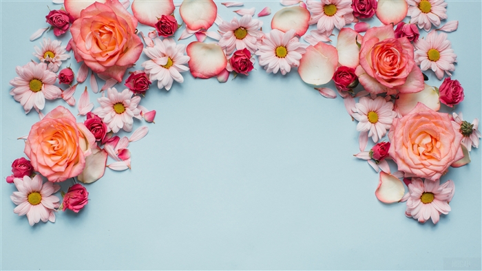 Pink and orange roses and daisies with petals