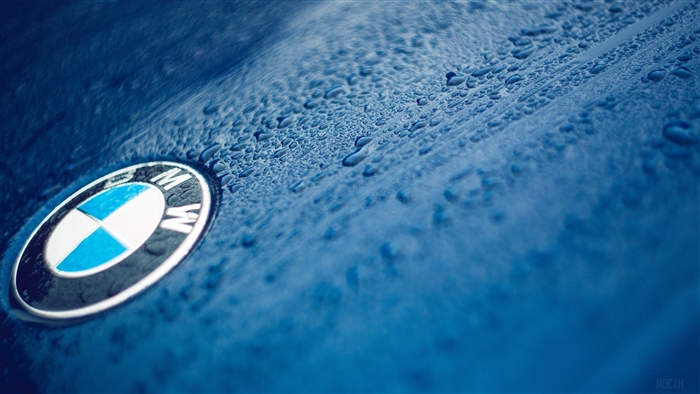 BMW logo on a wet blue car 4K