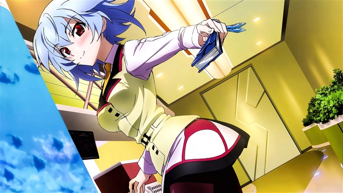Tatenashi Sarashiki from Infinite Stratos 4K