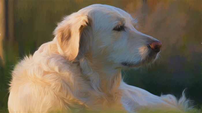 Golden Retriever Dog Lying Down Oil Painting 4K