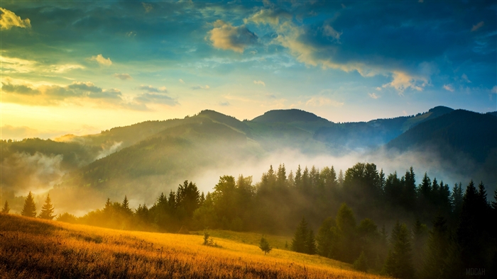 Misty Mountains Sunrise Landscape 4K