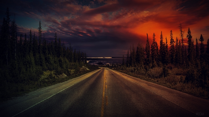 Sunset Road with Dramatic Orange Sky in 4K