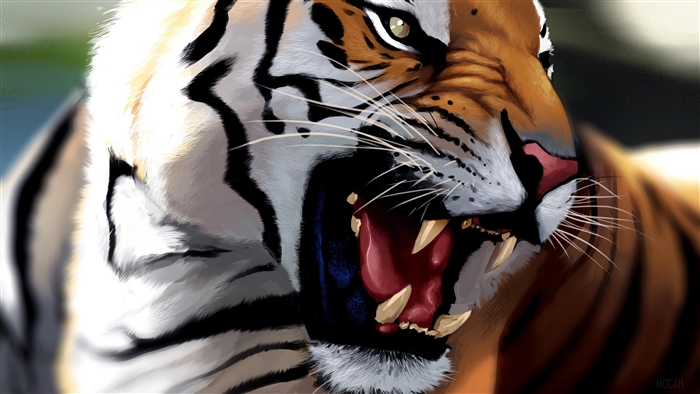 Tiger 4K