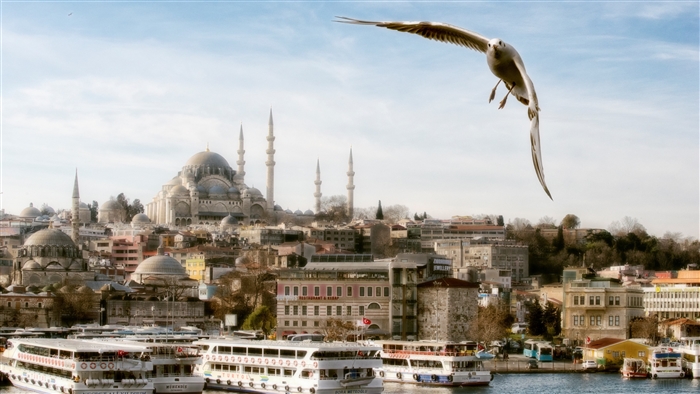 Seagull flying over Süleymaniye Mosque, Istanbul, Turkey 4K