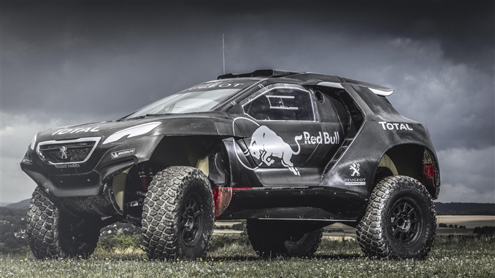 Peugeot 4008 Red Bull Rally Car