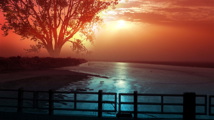 Fantasy Tree River Sunset 4K