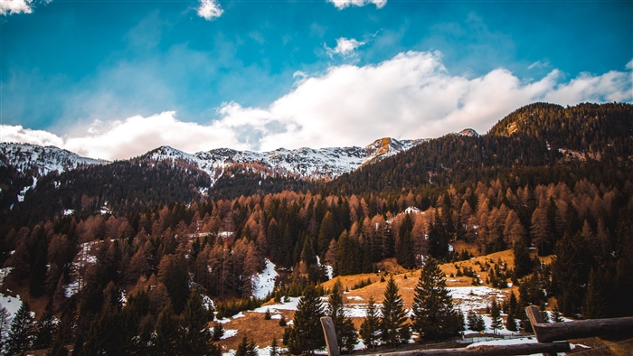 Forest and Mountain Landscape 4K