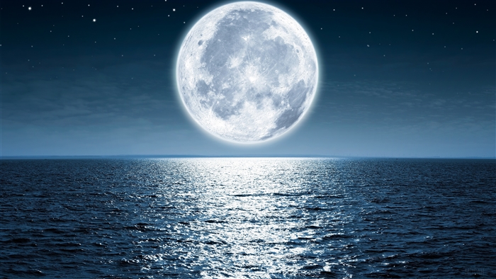 Full Moon Over Ocean at Night 4K