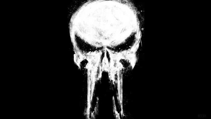 The Punisher Skull and Silhouette 4K