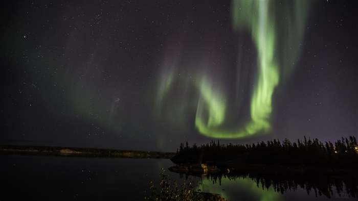 Aurora Borealis over a lake with trees and stars