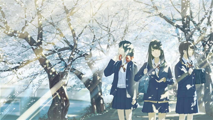 Three schoolgirls walking under cherry blossom trees