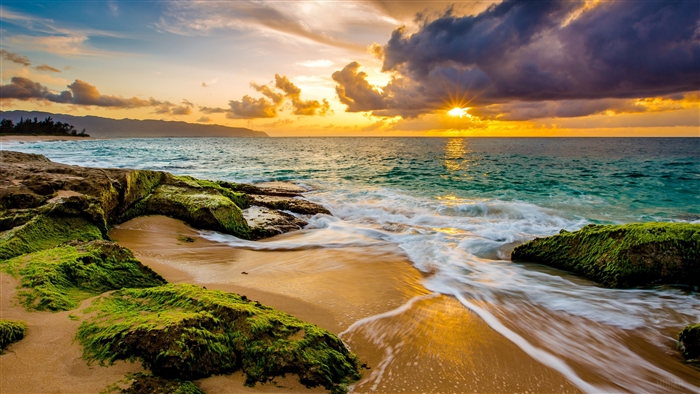 Sunrise over ocean with mossy rocks and sand