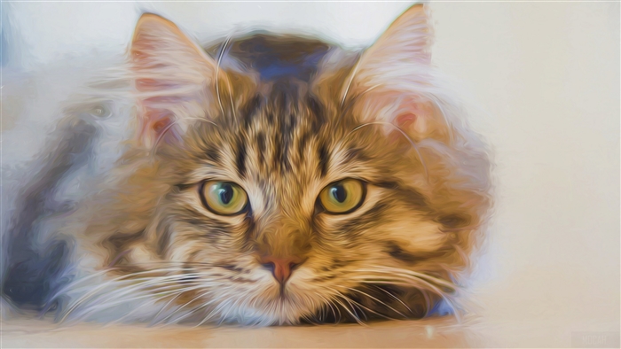 Oil Painting of a Cat's Face 4K