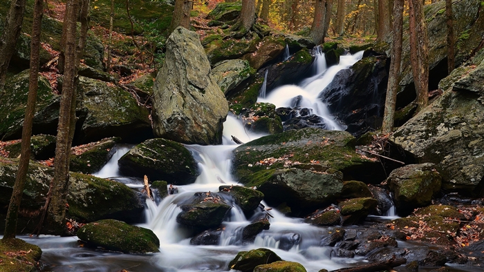 Waterfall in a Forest with Rocks and Fall Foliage 4K