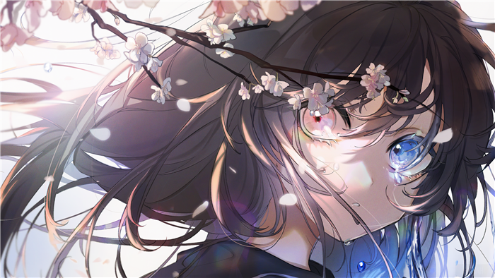 Girl with Cherry Blossoms and Heterochromia 4K