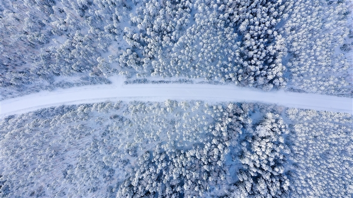 Aerial view of a snow-covered forest with a road