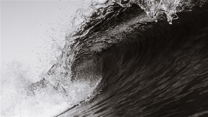 Black and White Wave 4K